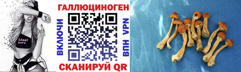 Псилоцибиновые грибы Psilocybe  мега ТОР  Новозыбков 