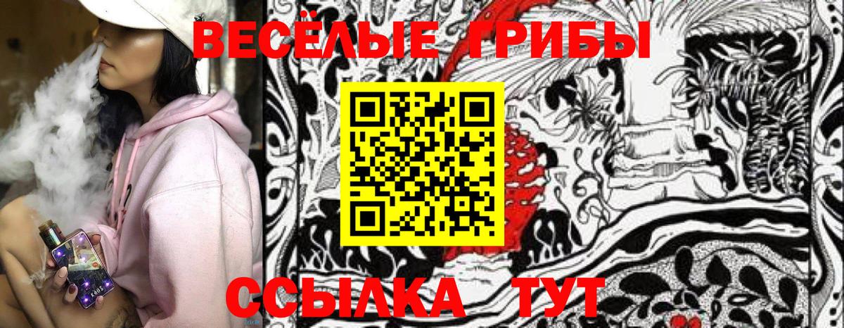 наркотики  Псилоцибиновые грибы Cubensis  Вход с VPN  Новозыбков 