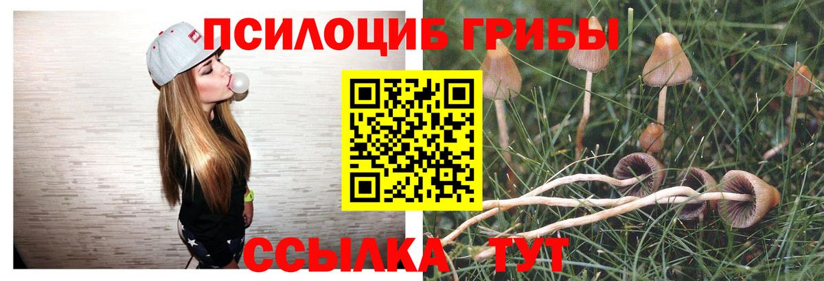 Псилоцибиновые грибы ЛСД Новозыбков