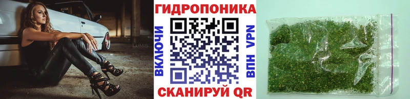 Бошки марихуана планчик  blacksprut как войти  Новозыбков 